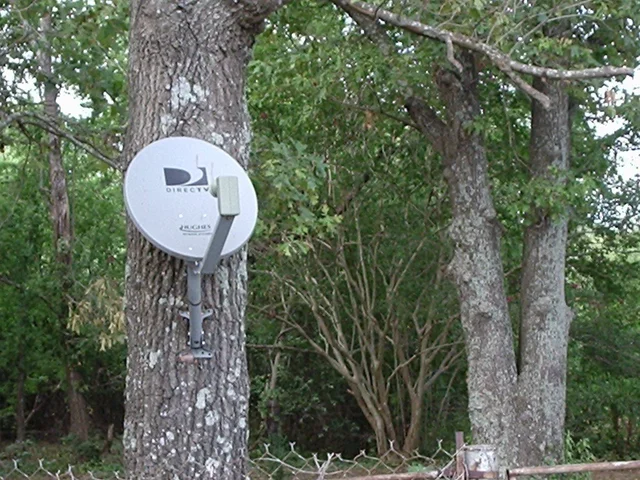installs in the forest house 001.webp