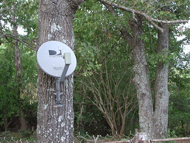 installs in the forest house 001.jpg