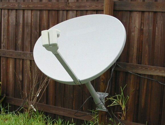 dish-1.jpg