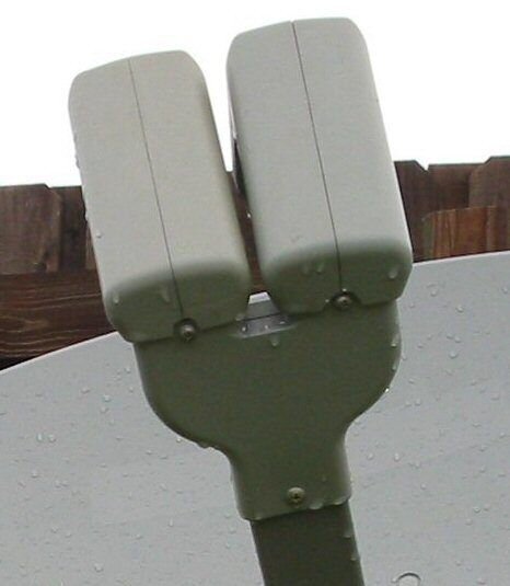 dish-3.jpg