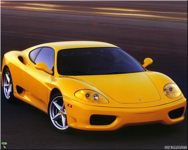 yellow modena.jpg