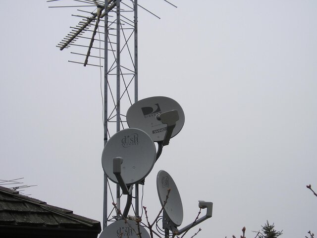 P1010059.JPG