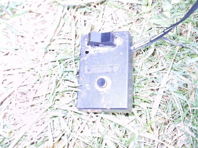 IMAG0023.JPG