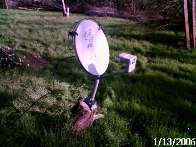 DISHnTheWoods.jpg