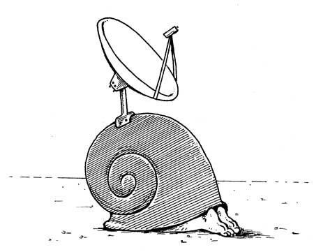 snail_dish_37.jpg