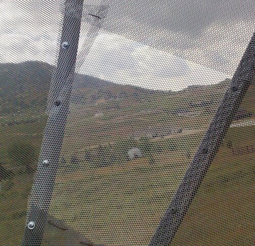 dish3b.jpg
