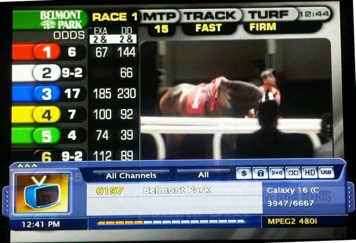 BelmontPark.jpg