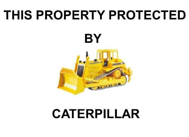 protected by cat.jpg