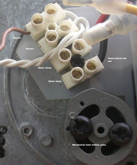 gedc0787b.jpg