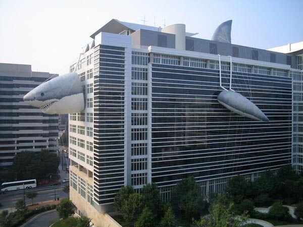 shark_stalking_on_discovery_channel_building_1.jpg