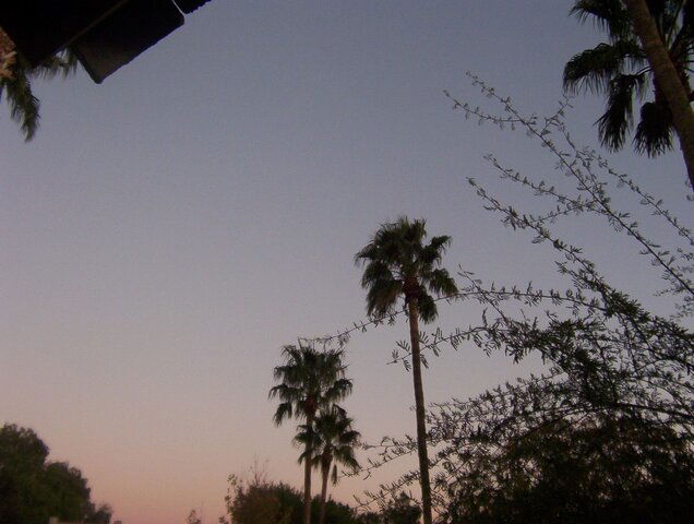 000_1374.JPG