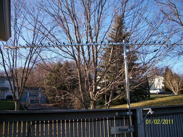 010.JPG