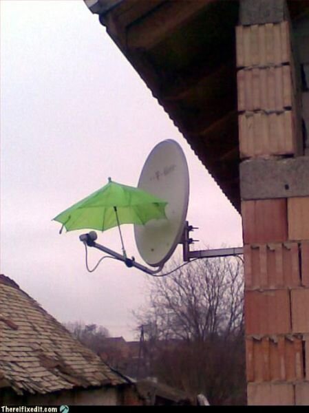 dish.jpg