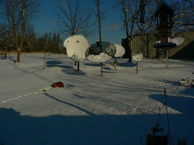 Sat Dishes and Champ Snow 01-11-11.JPG