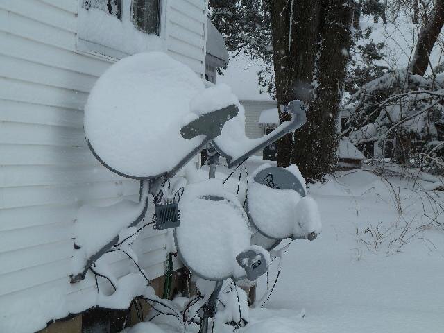 snowdish1.jpg