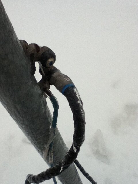 Coaxial cables rear.JPG
