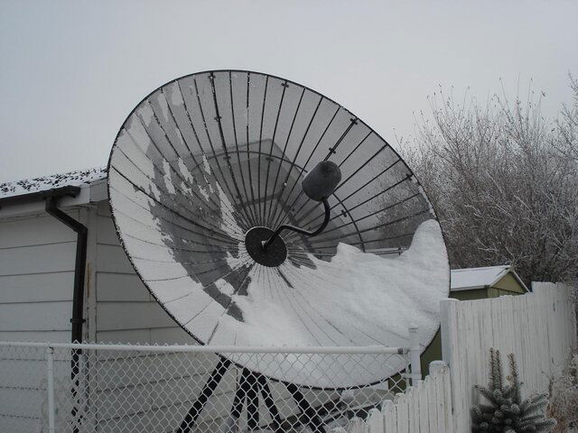 winter avatar.jpg