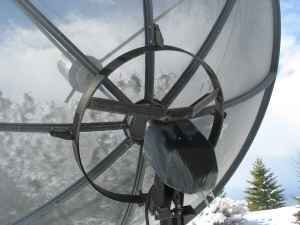 dish2.jpg