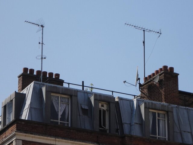 DSC01255.JPG