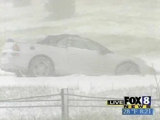 snow6.webp