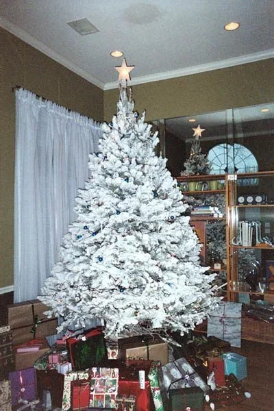 Christmas_Tree_2003.webp
