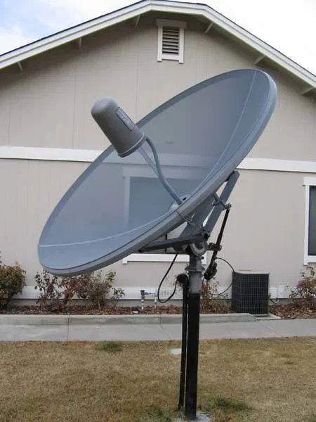 Dish 3.webp