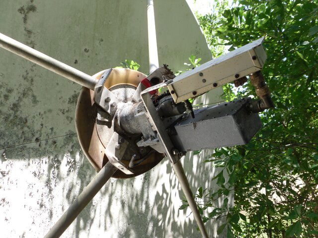 SDC10337.JPG