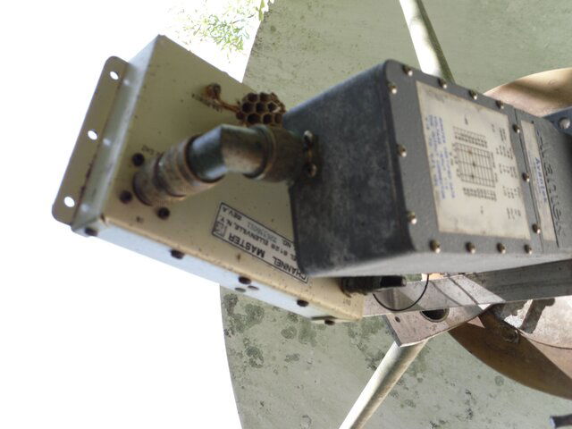 SDC10338.JPG