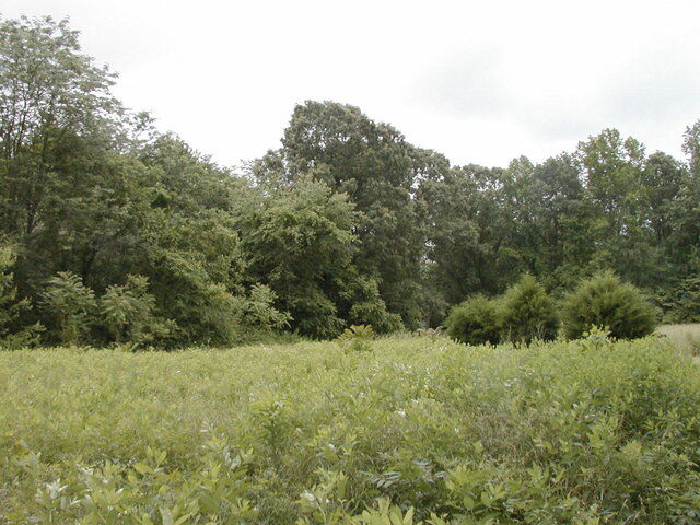P1010011.JPG