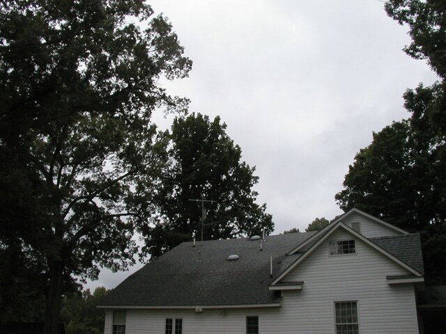 P1010008.JPG