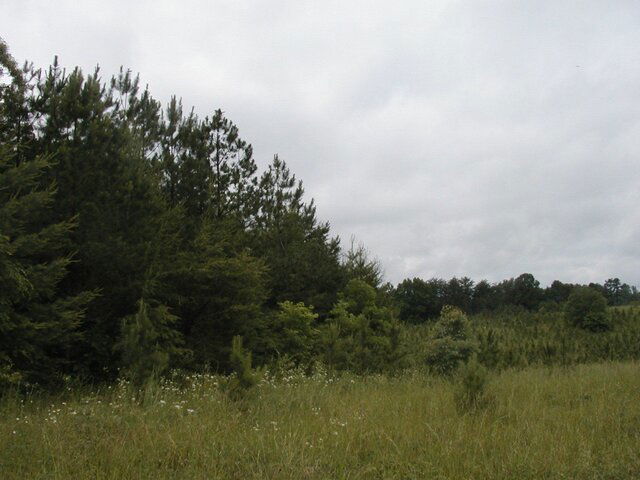 P1010009.JPG