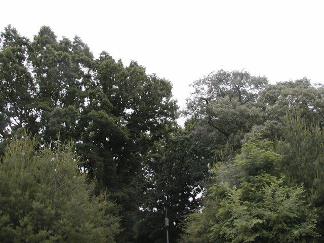 P1010010.JPG