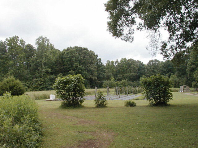 P1010012.JPG