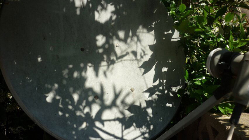 P1000237.JPG