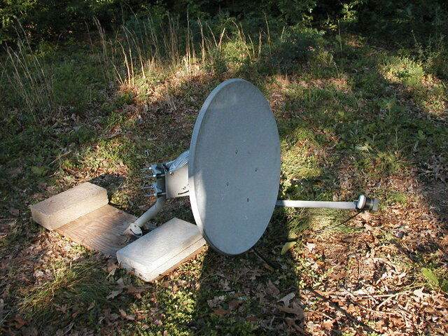 P1010006.JPG