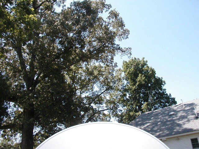 P1010012.JPG