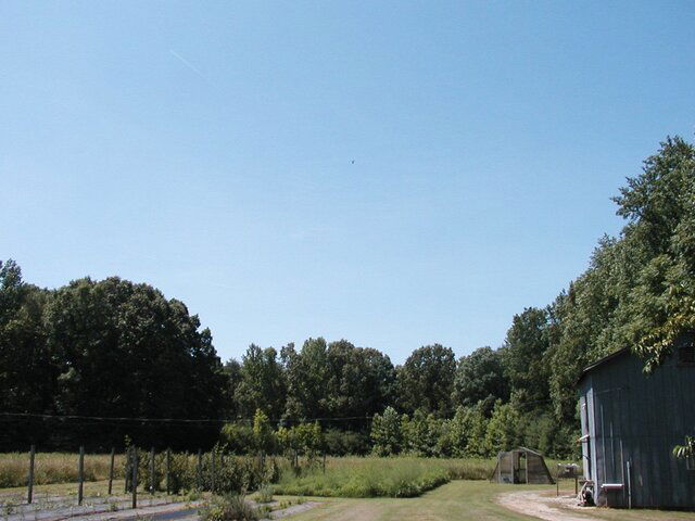 P1010008.JPG
