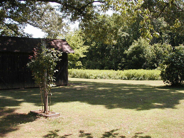 P1010009.JPG