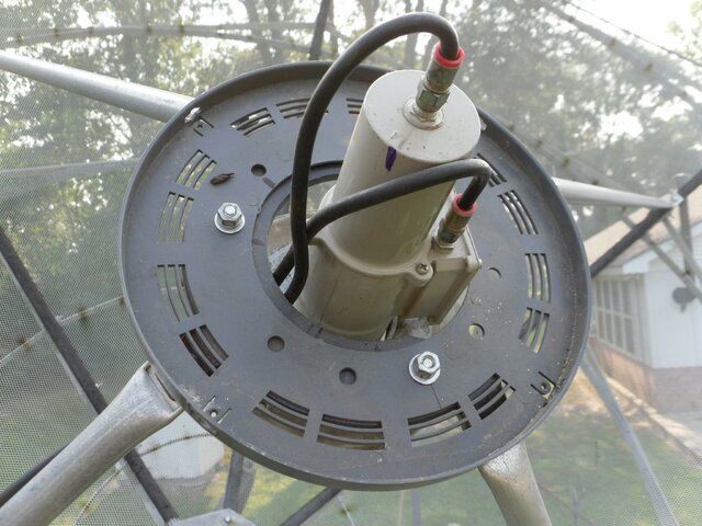 SDC10430.JPG