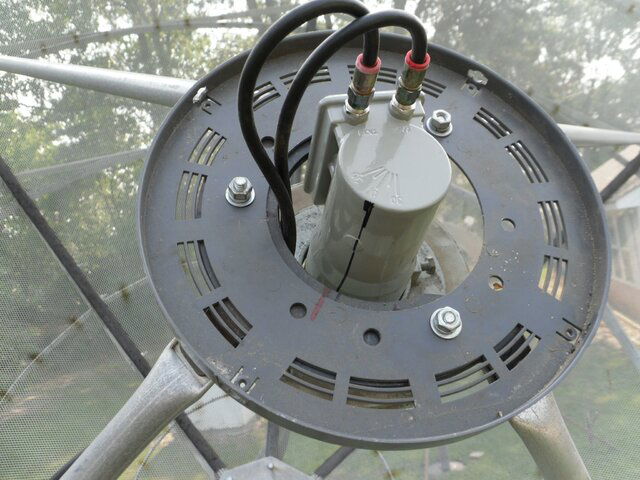 SDC10431.JPG