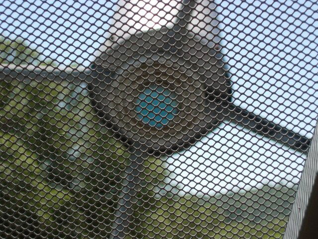 DSCN5548.jpg