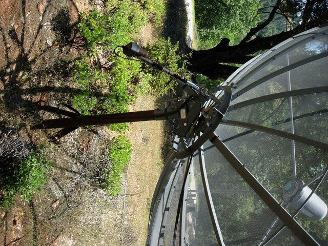 DSCN5549.jpg