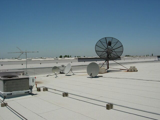 DSCN5617.jpg