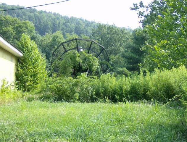 pic1.jpg