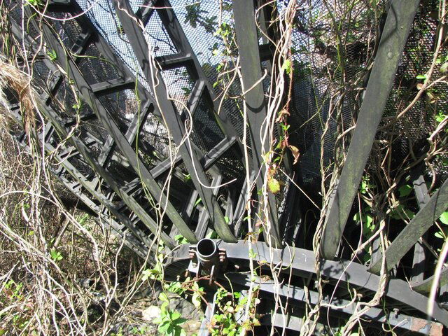 IMG_4802.resized.JPG