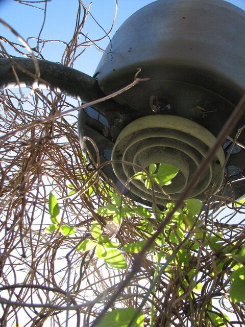 IMG_4794.resized.JPG