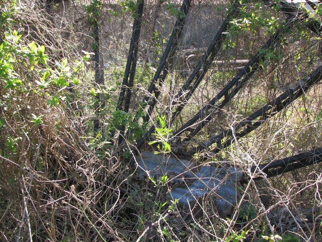 IMG_4781.resized.JPG