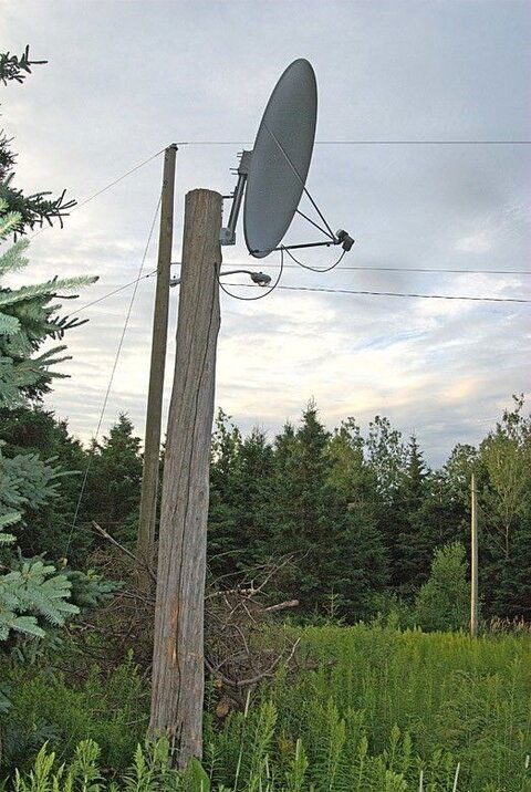 Dish.jpg