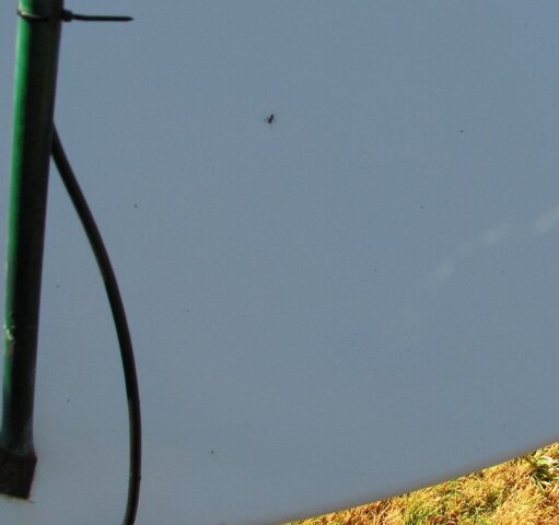 antenna.jpg