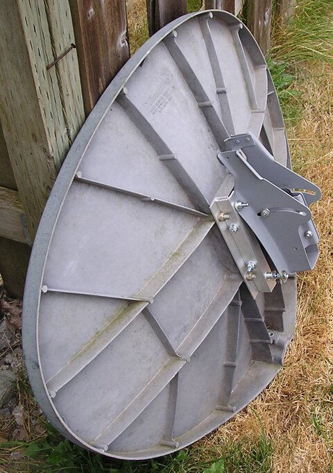 P8100017.crop.jpg